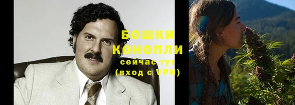 apvp Карпинск