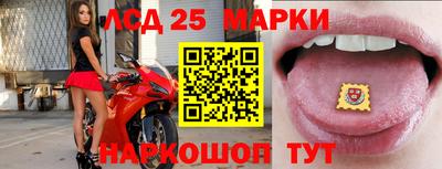 шишки Коммунар