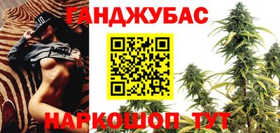 шишки Коммунар