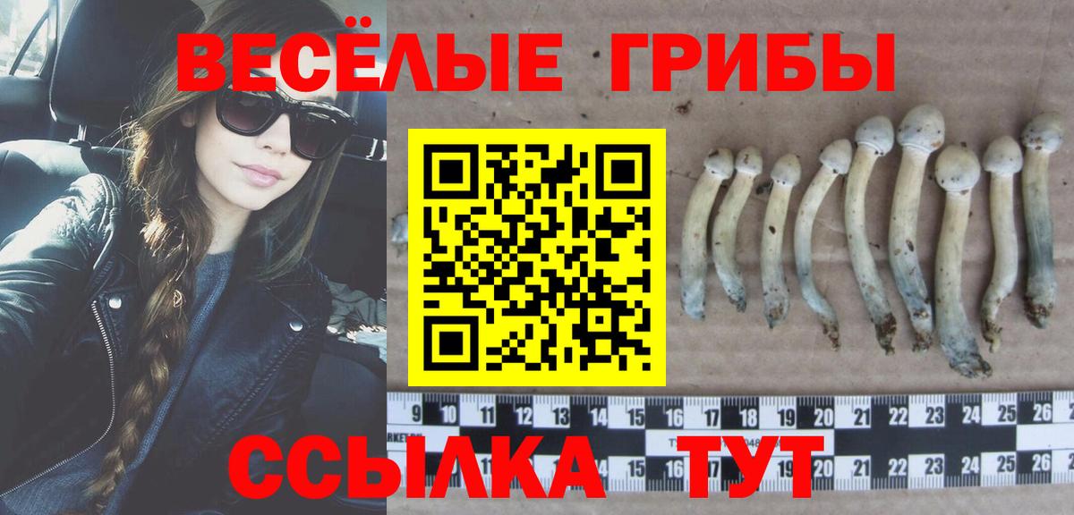 Каннабис  ЭКСТАЗИ  МЕФ   MDMA  Элиста  LSD-25  Вход с VPN  ГАШ 