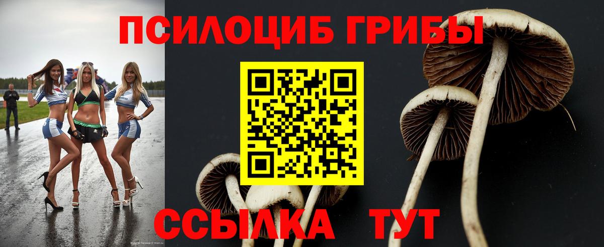 Псилоцибиновые грибы мухоморы  Вход с VPN  Элиста 