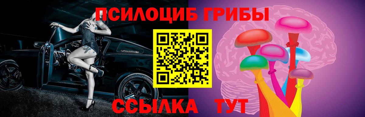 Псилоцибиновые грибы GOLDEN TEACHER Элиста
